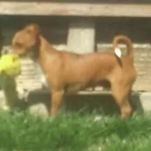 Meet your Posher, Stacie